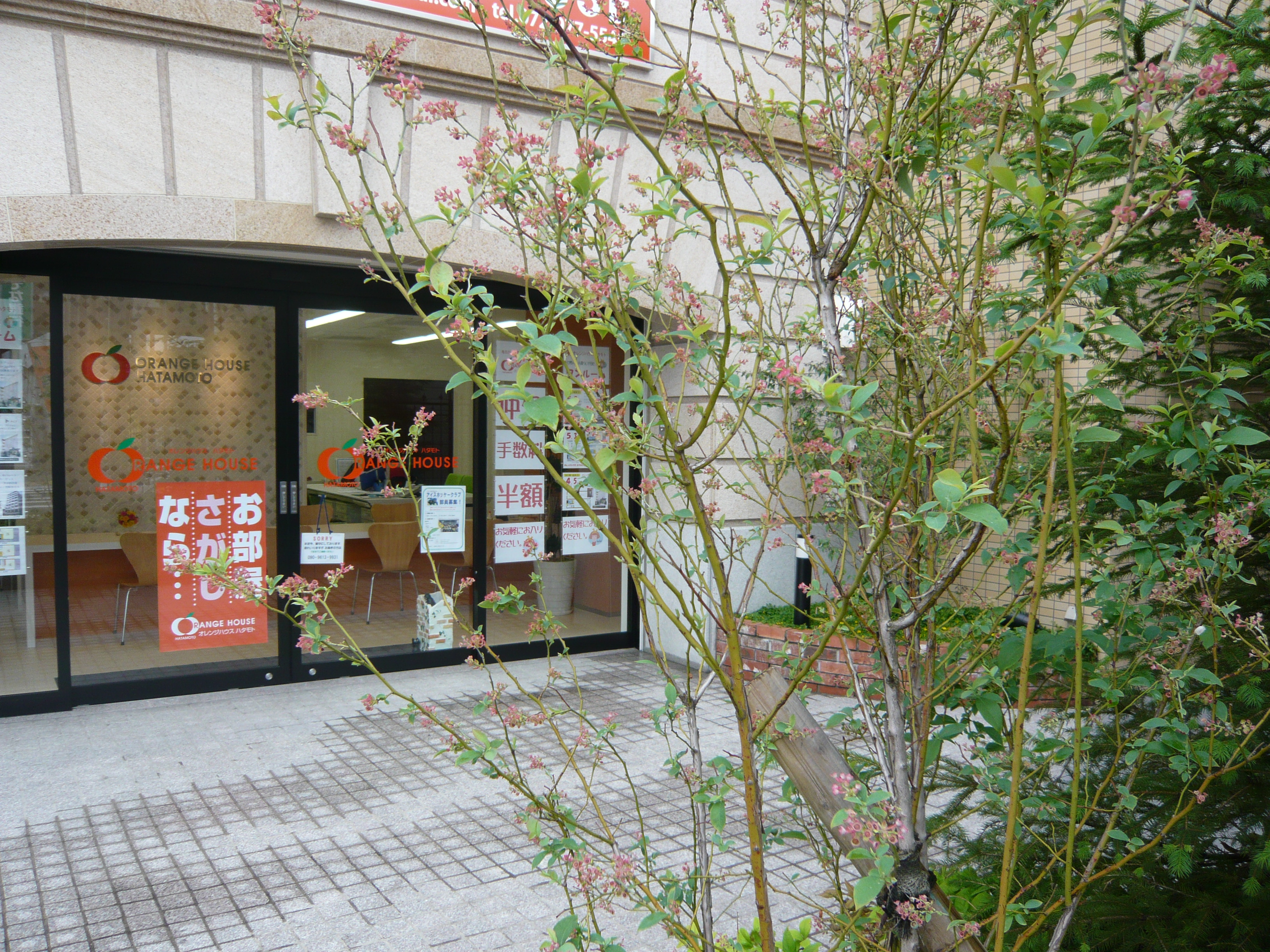 ご来店。気に入った物件があれば、現地に見学!